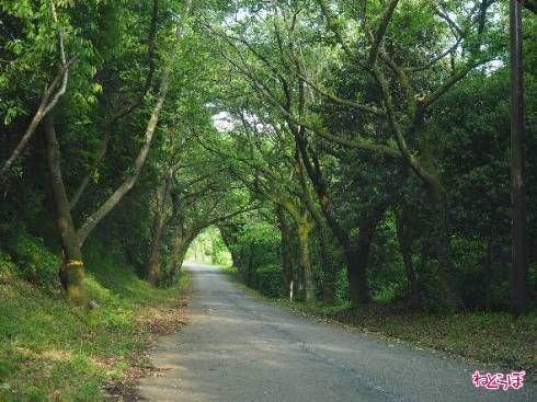 終点まではもう少し