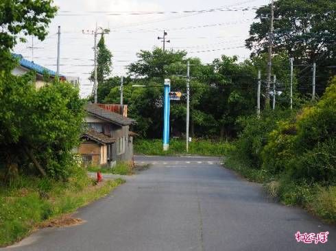 スタート地点の華々しさからは想像もできないゴール