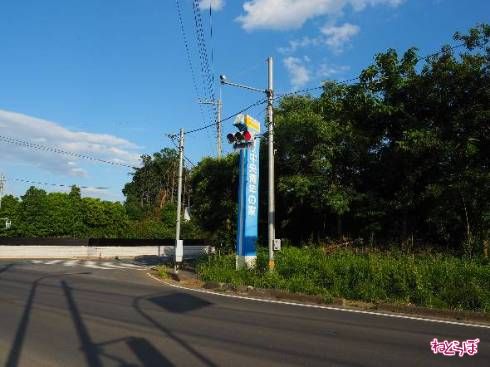 中央青年の家の看板だけが目立っている