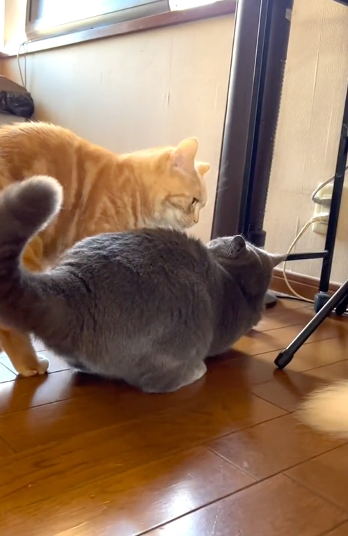 次男を叱る長男