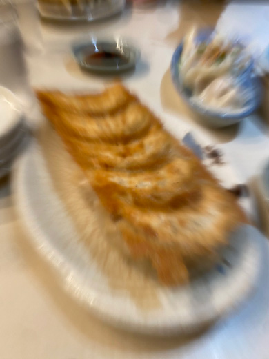 襲いかかる餃子