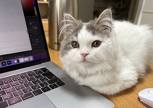 見守るおすしくん