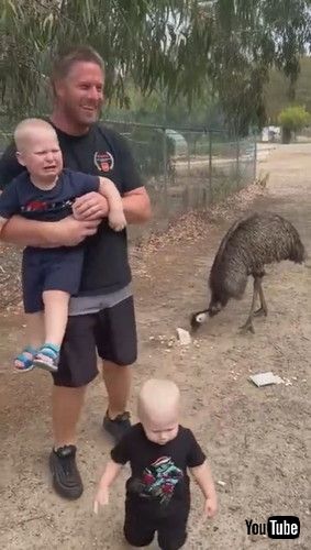 「Wildlife Feeding Experience Turns Out to Be Scarier Than Expected || ViralHog」