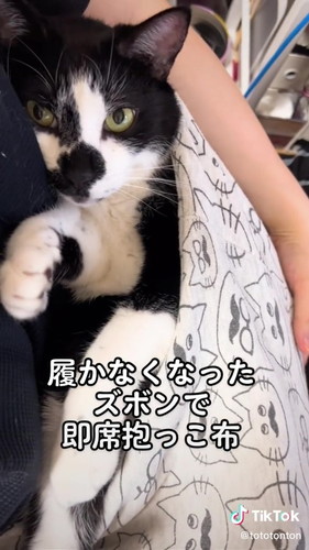 「即席抱っこ布」