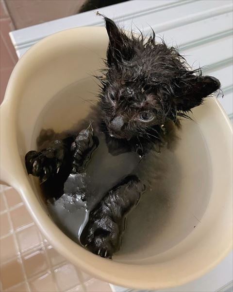 お湯につかってる