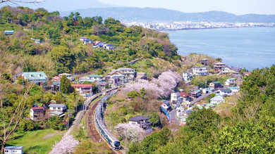 伊豆の駅弁、湯どき花どき食べどき弁当