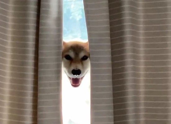 おすすめ