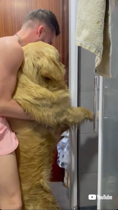 抱え込まれる犬