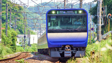 鎌倉の駅弁、伝承 鯵の押寿し　桜