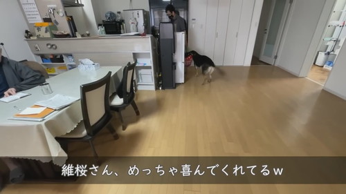 喜ぶ犬