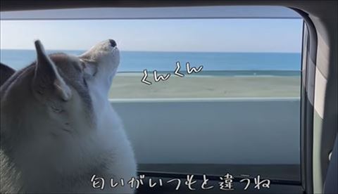 ドライブしてる