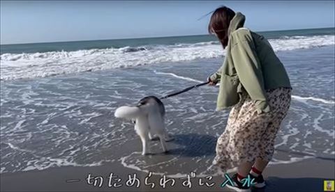 海の匂いをかいでる