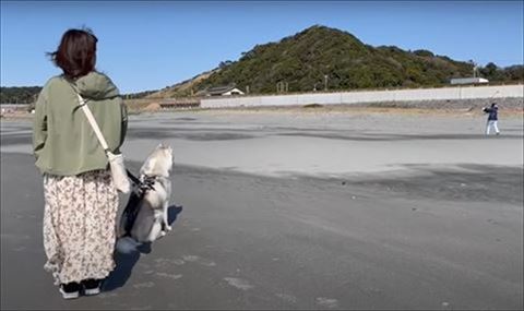 お座りしておじさんを見てる