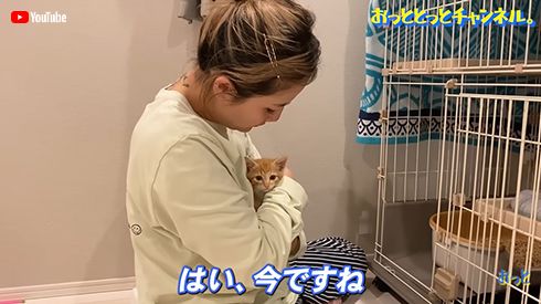 保護された野良猫を抱っこする後藤祐樹の妻