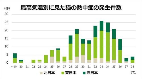 熱中症グラフ