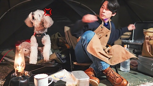 吠える犬