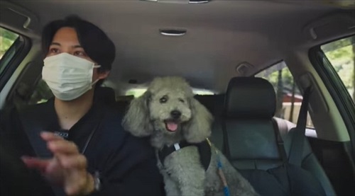 社内の飼い主と犬
