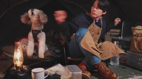 吠える犬