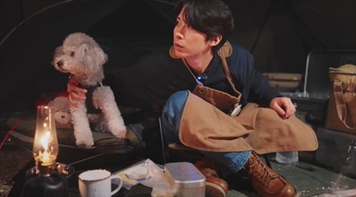 落ち着く犬