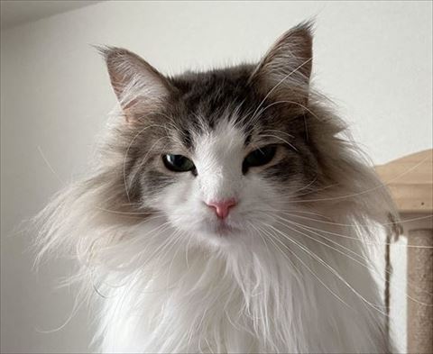 むすっとしてるララちゃん