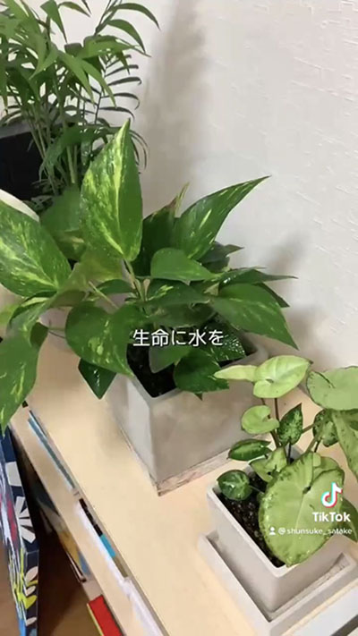 イラストレーターの1日