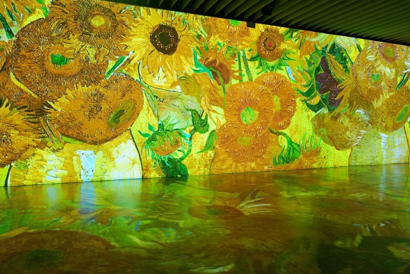 「ひまわり」の画像