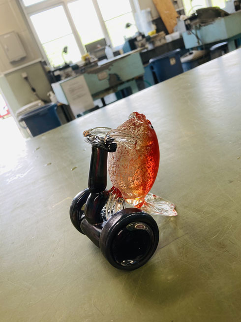 セグウェイ金魚