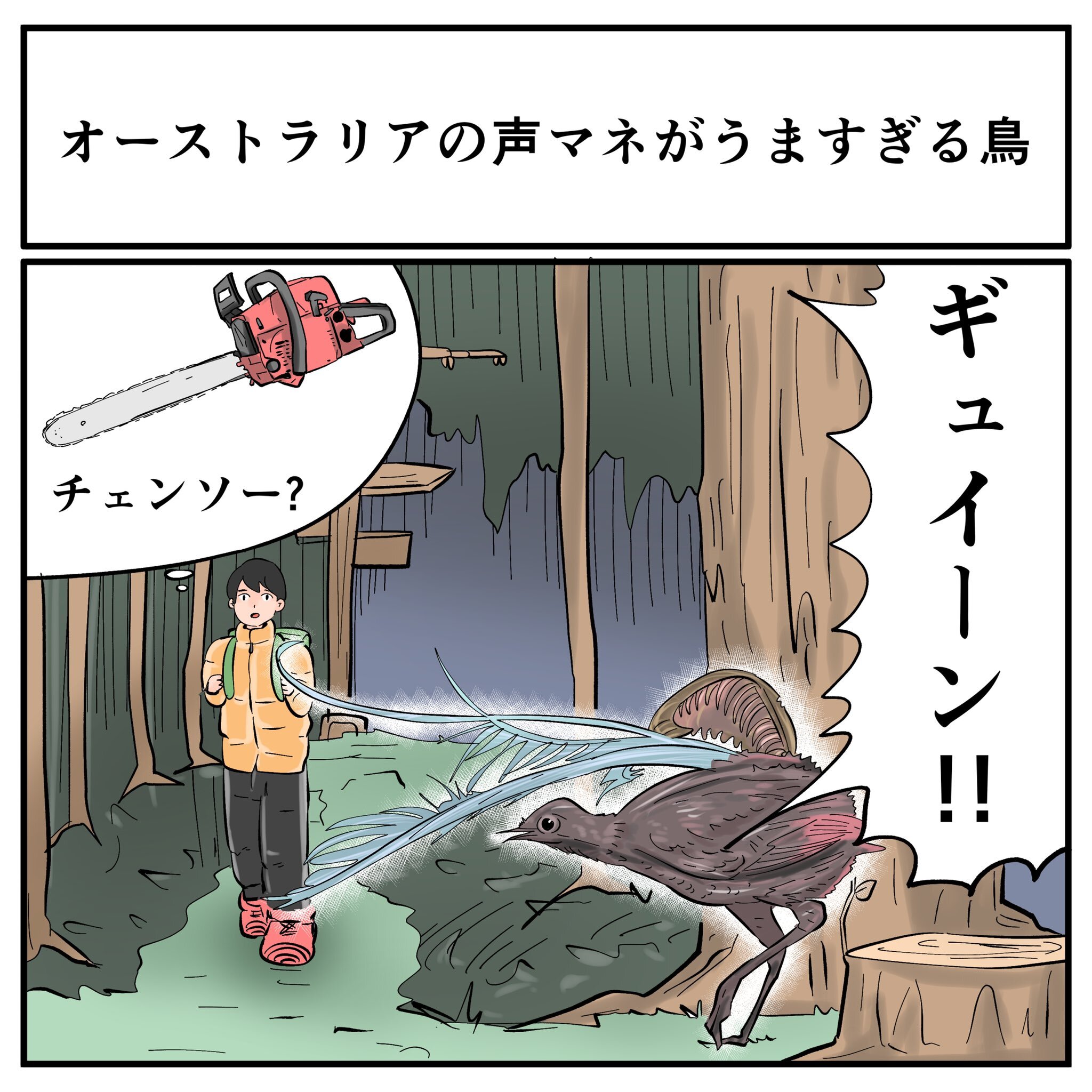 そんなことある？