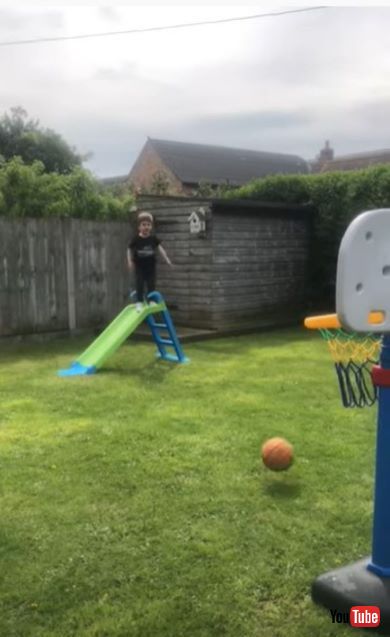 芝生の上に落ちたボール