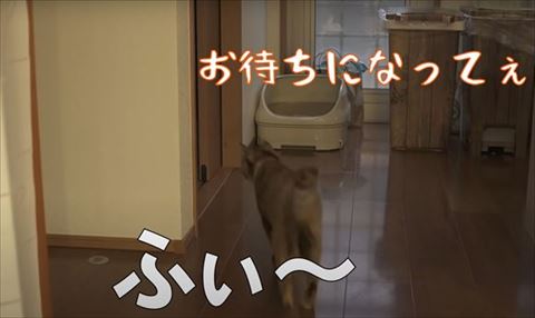 洗面所に向かうたっちゃん