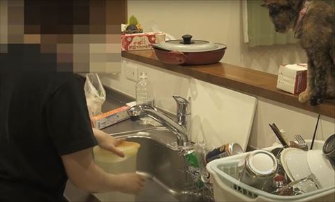 洗い物してるのをみてる