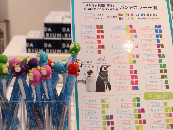 推しバンドの組み合わせ一覧