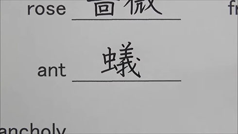 問題「ant」を答えるところ