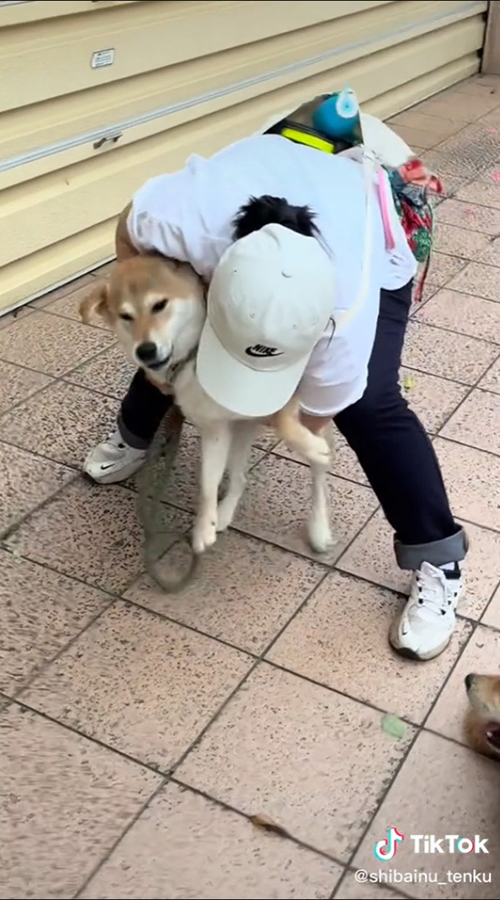 持ち上げられるてんくん