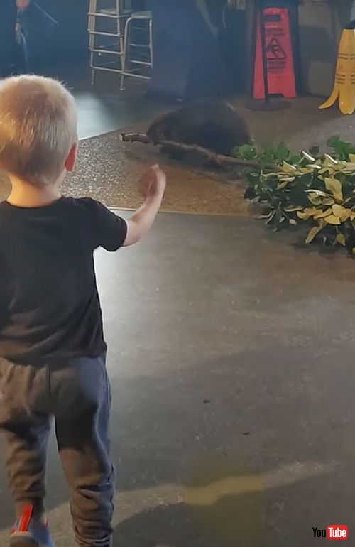 男の子に追いかけられるビーバー