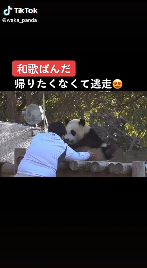 帰りたくない楓浜