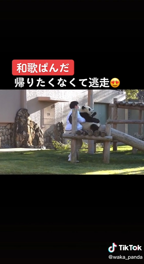 抱えられる楓浜