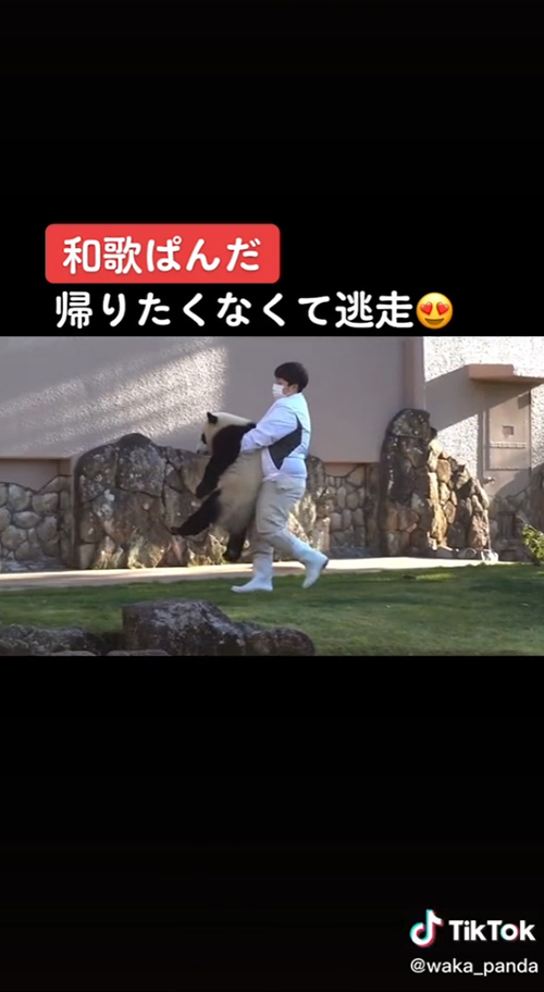 運ばれていく楓浜