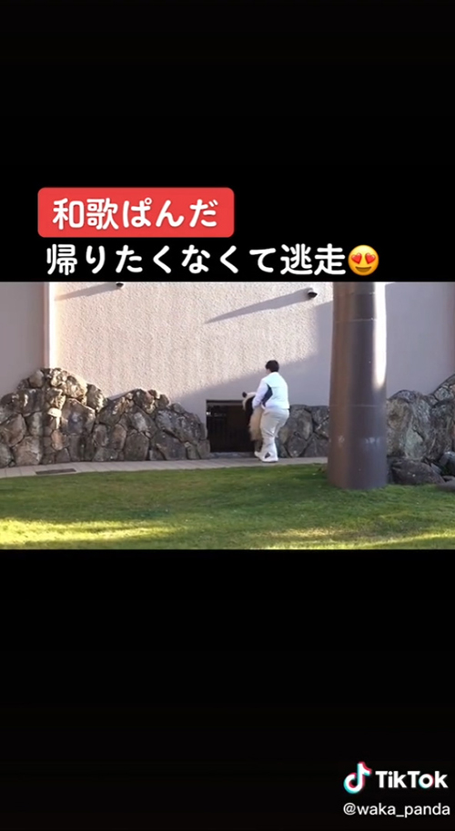 寝室付近の楓浜