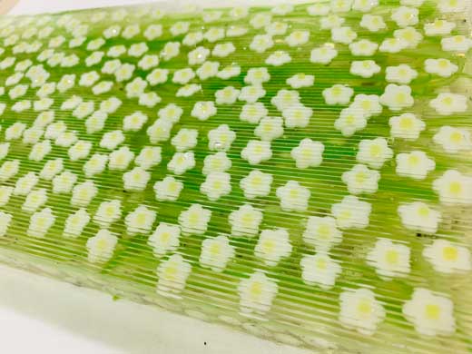 梅花藻 和菓子 上生菓子