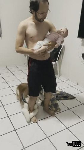 「Dad is in High Demand || ViralHog」