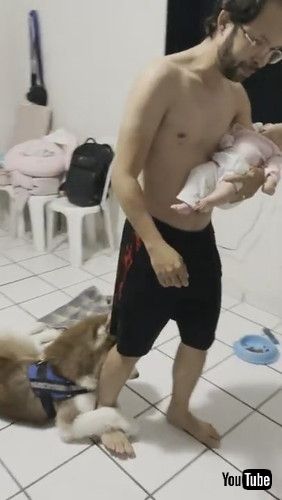 「Dad is in High Demand || ViralHog」