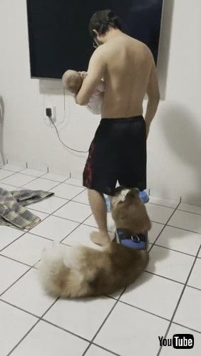 「Dad is in High Demand || ViralHog」