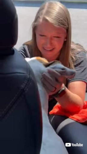 犬に抱きつく女性