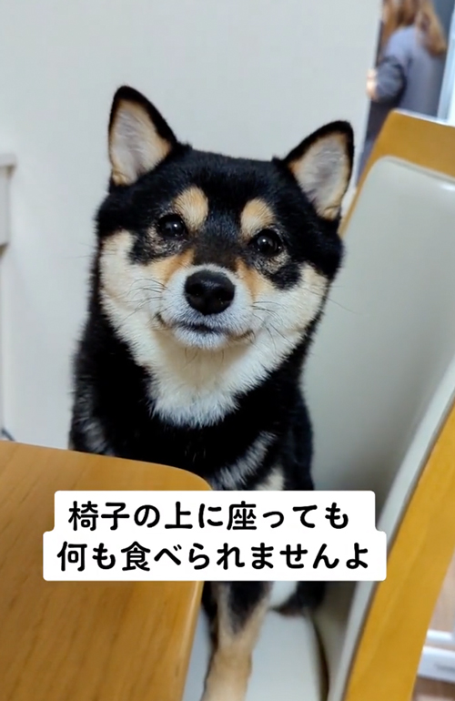 おねだりゆずちゃん