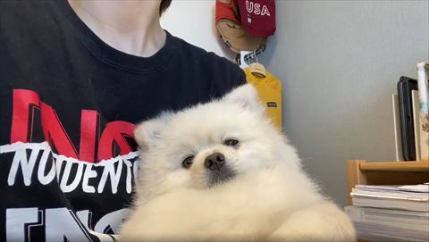 眠そうにセンター見てる