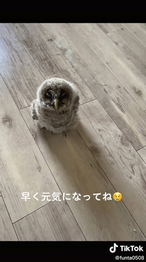 早く元気になってね