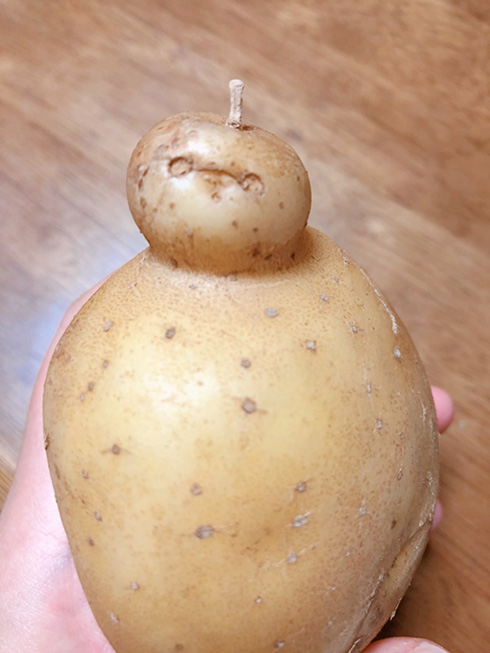 ベイマックスに似すぎているジャガイモが話題に　「こんな完璧なベイマックスいる？」「冷凍保存したいレベル」