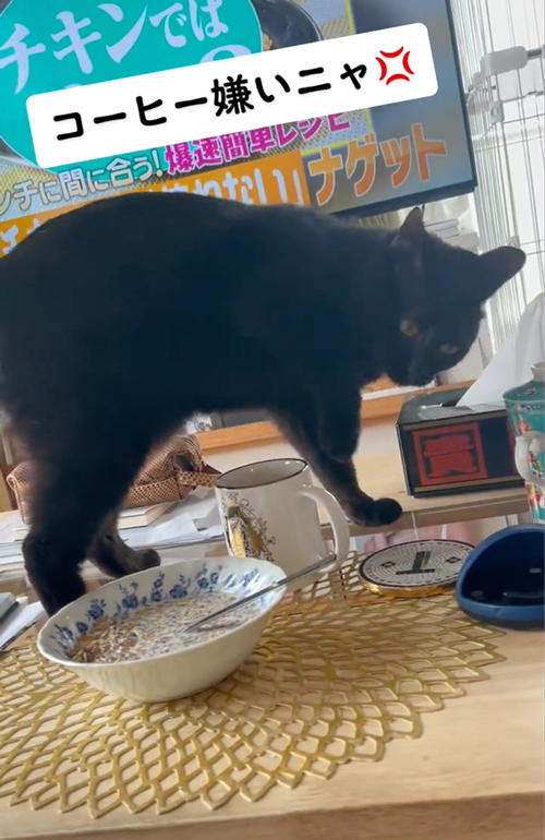 コーヒーにも砂かき