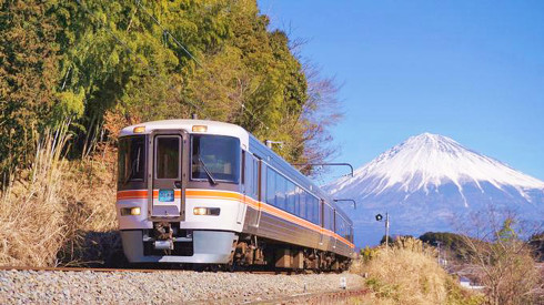 静岡駅弁、思いがけぬ出会い弁当